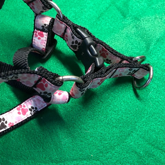 Harness - Picture 3 of 3